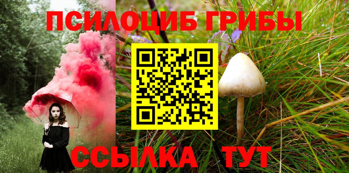 Псилоцибиновые грибы Psilocybine cubensis Тихорецк