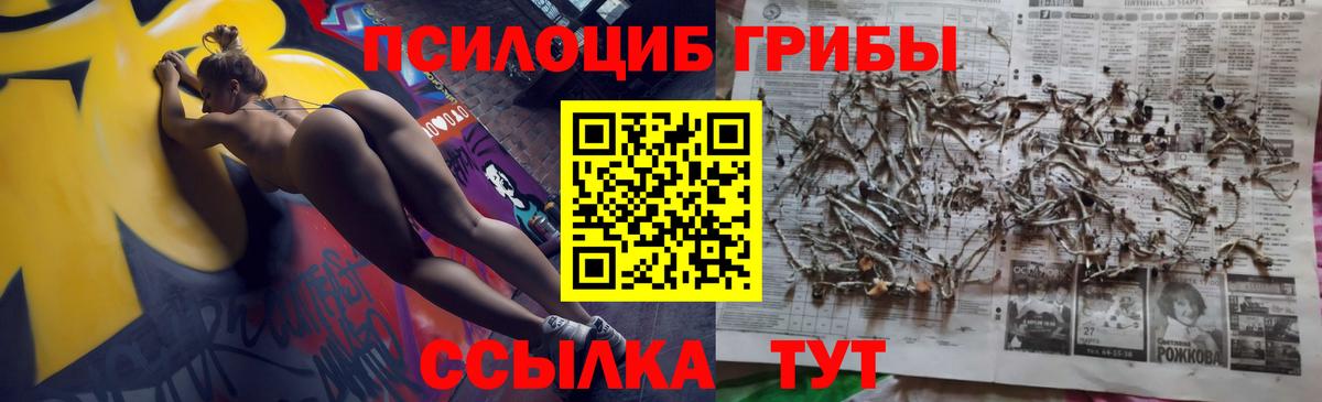 Галлюциногенные грибы Magic Shrooms  Вход с VPN  Тихорецк 